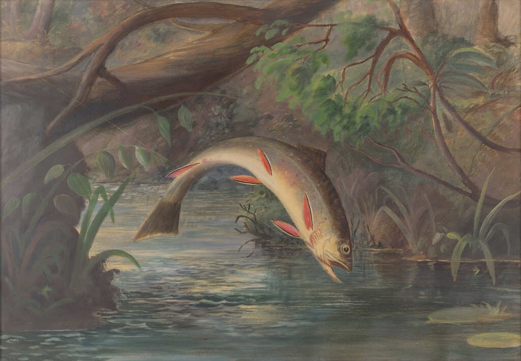 Title Unknown (Fish)