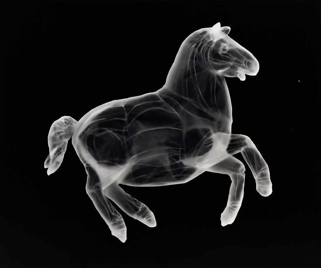 Toy Horse Photogram