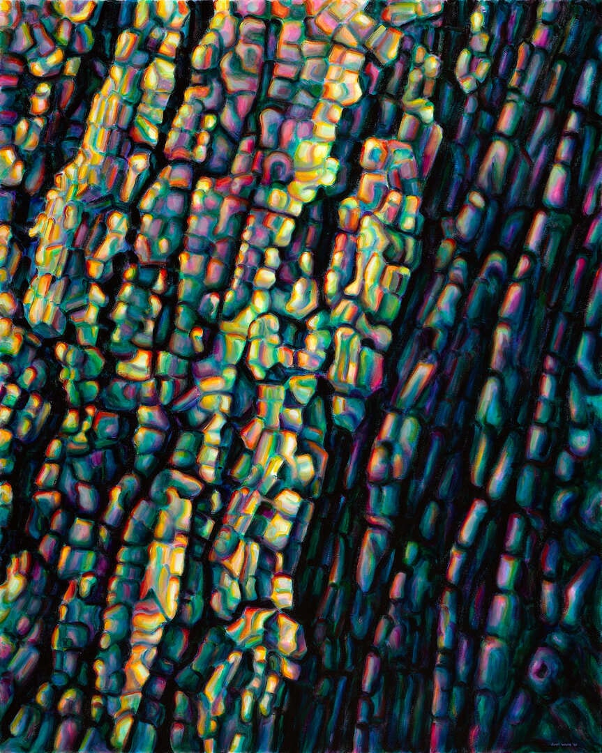 Tree Bark (2)