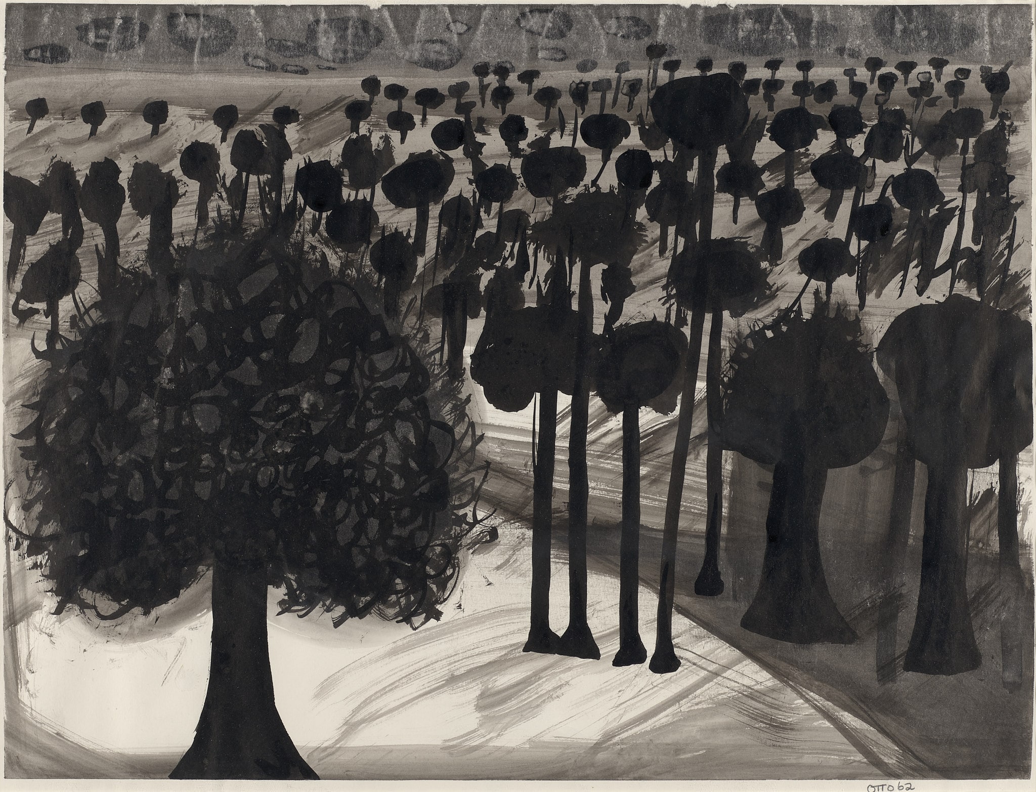 Tree Study