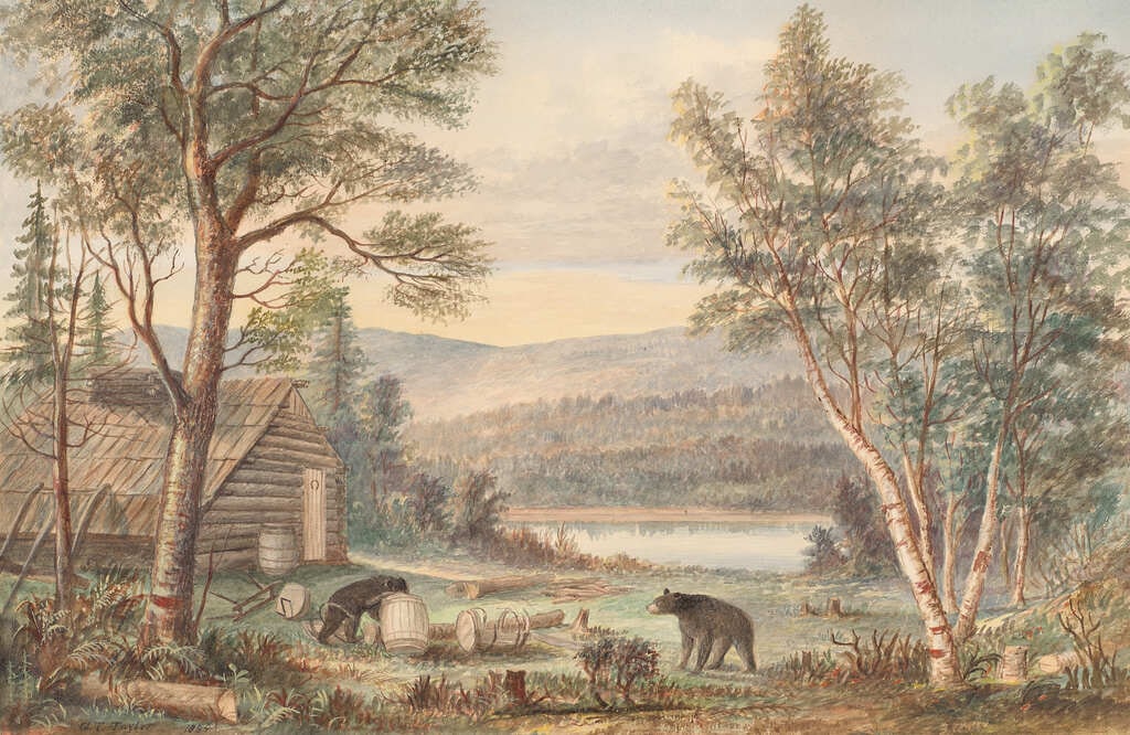 Two Bears in Camp