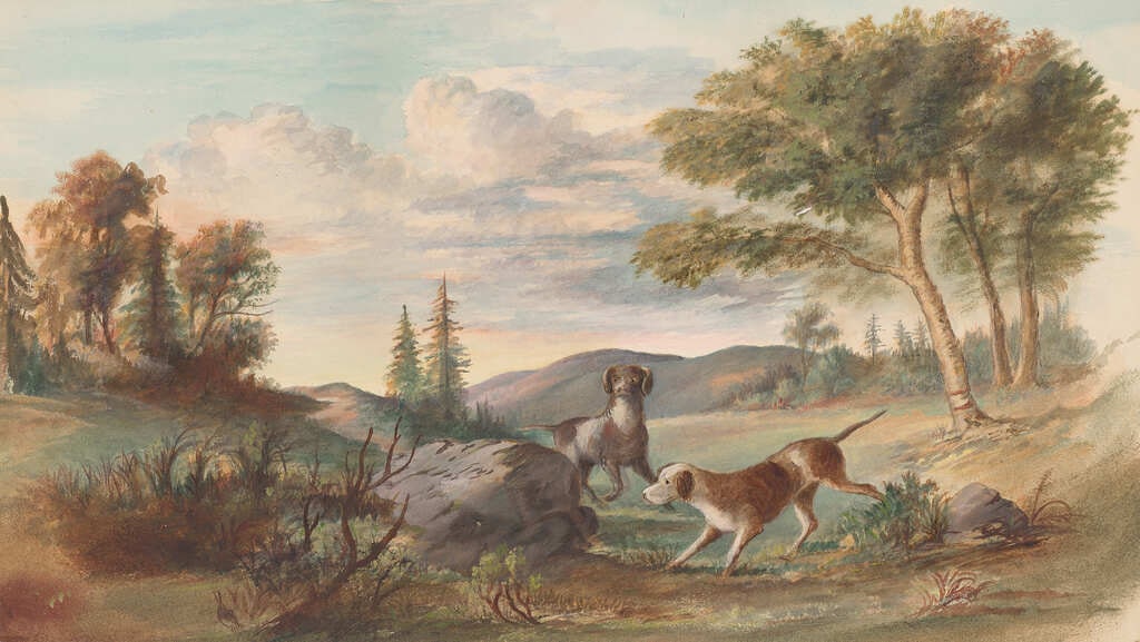 Two Hounds
