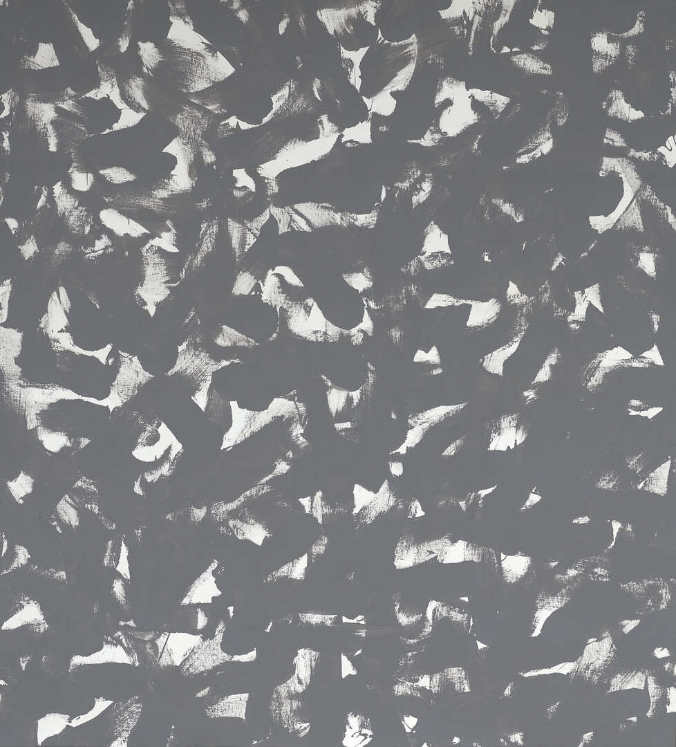 Untitled (Mars Black and Titanium White)
