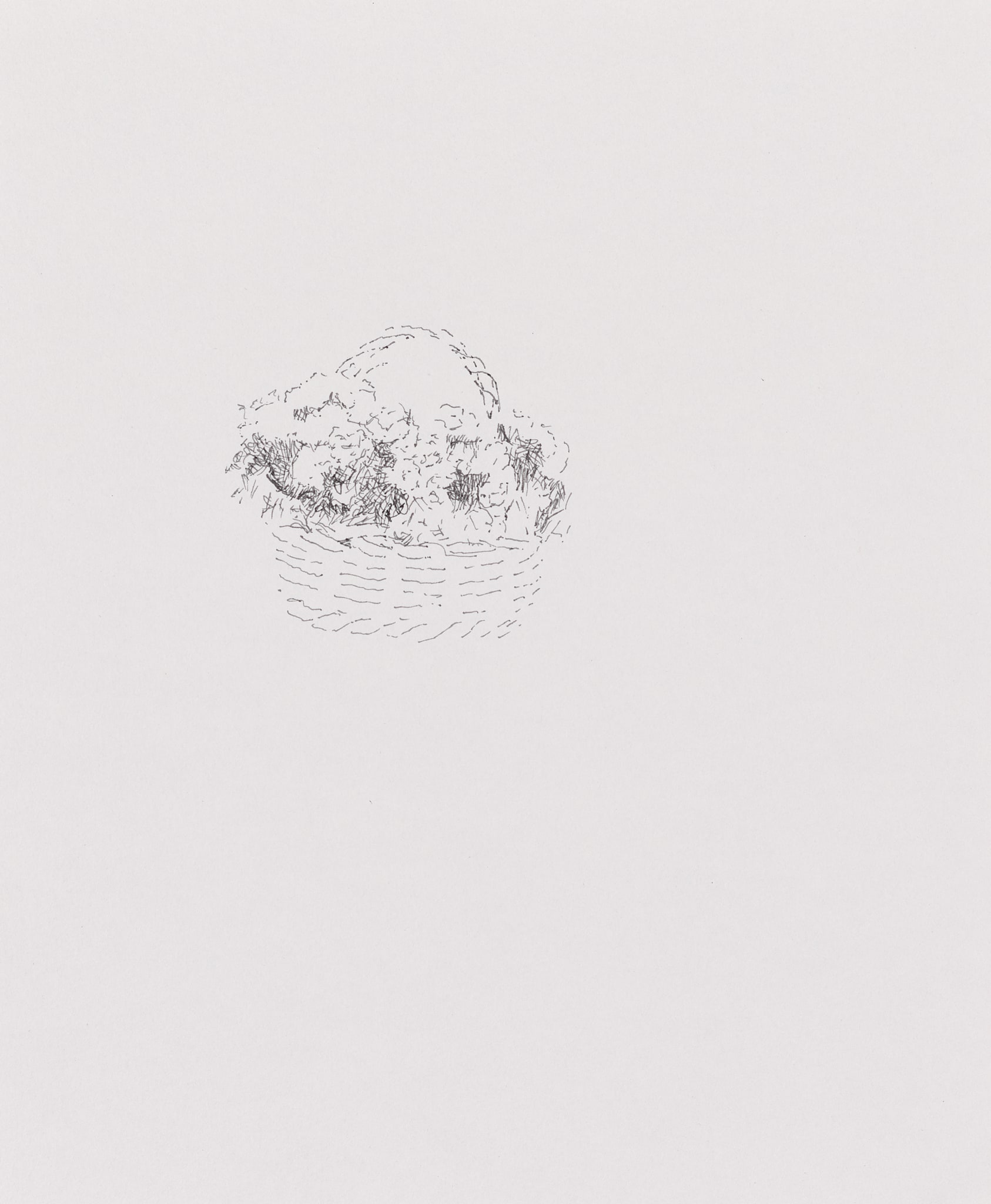 Untitled / sans titre (basket)