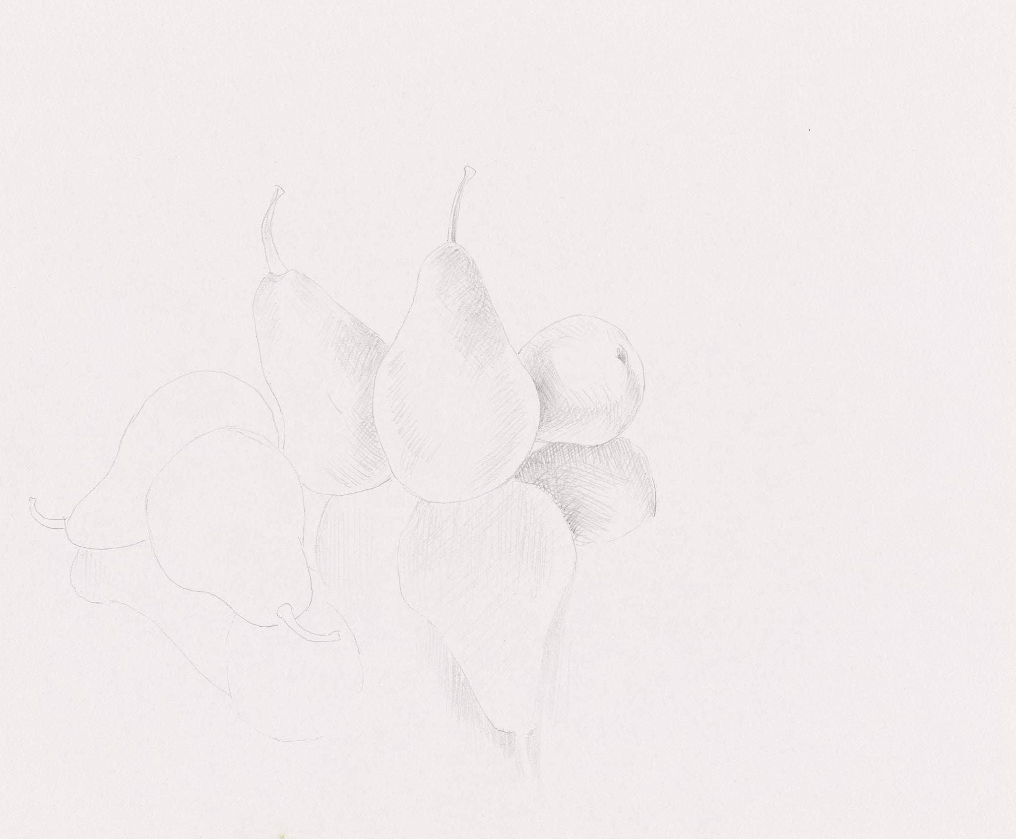 Untitled / sans titre (pears)