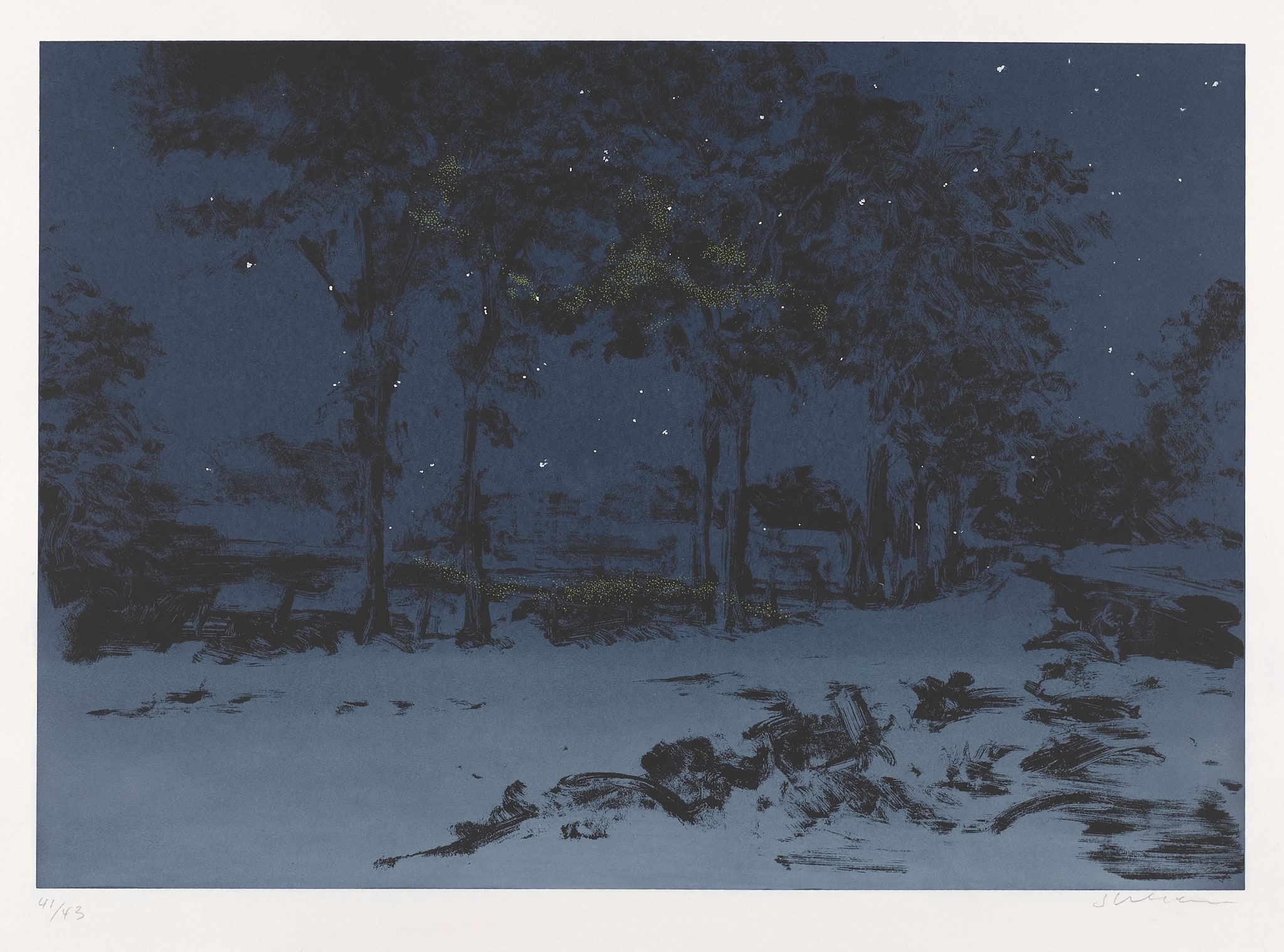 Winter Landscape