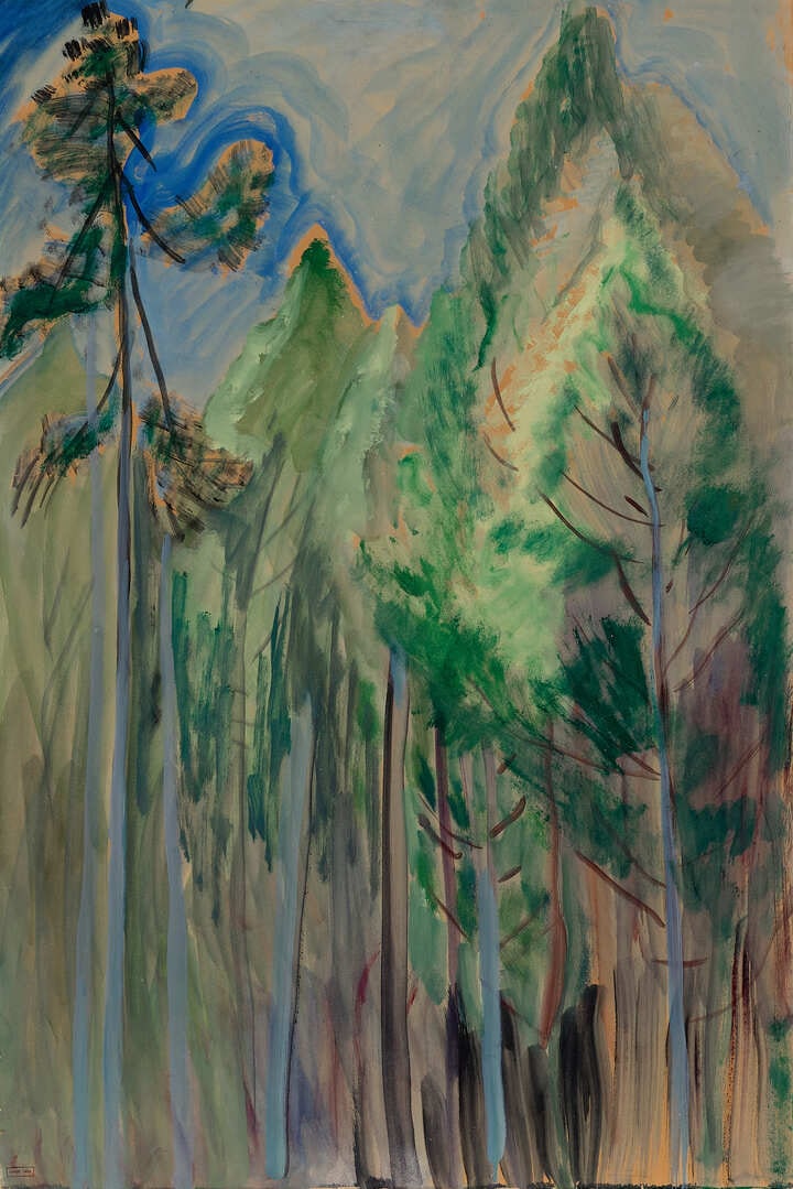 Woods and Blue Sky