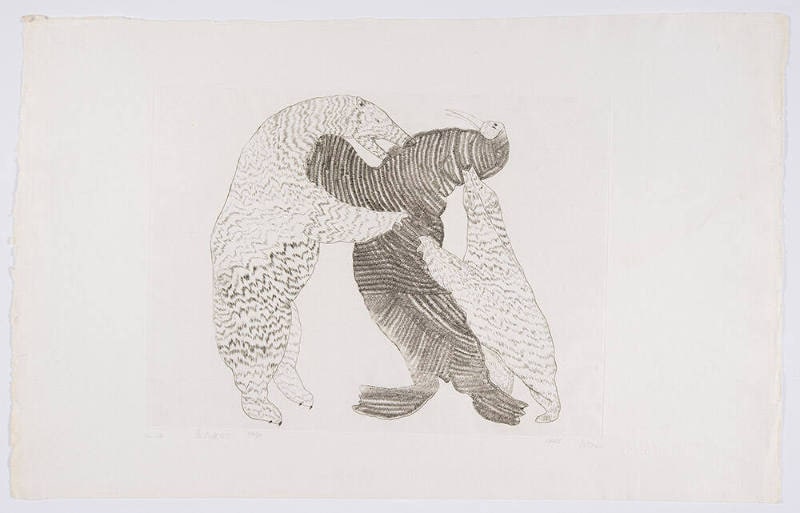Bears Attacking Walrus