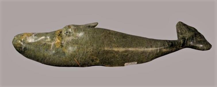 Whale