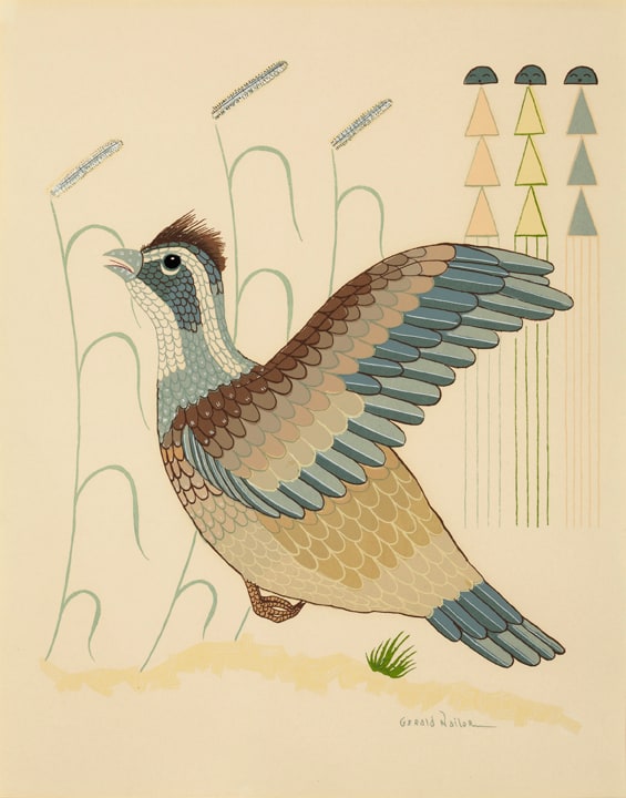 Quail