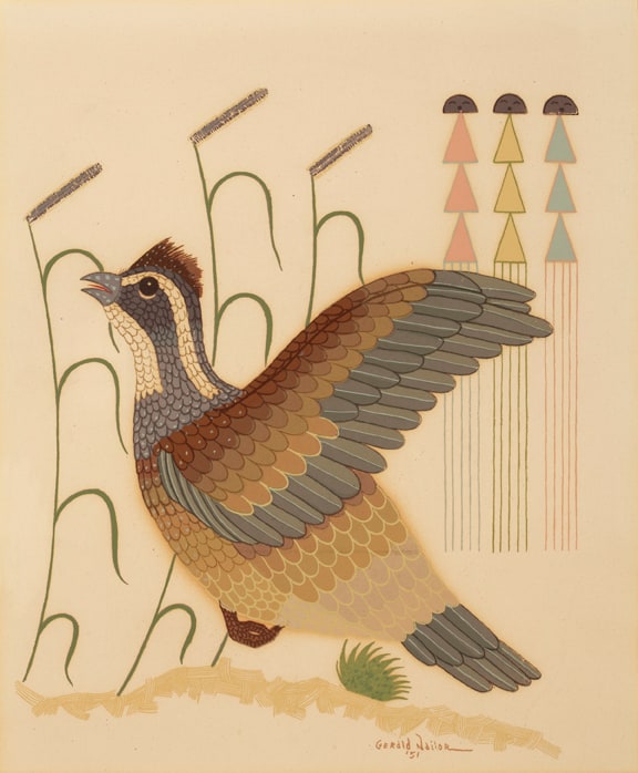 Quail