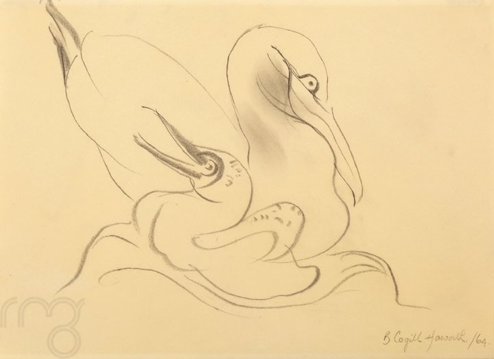 Untitled (pelicans)