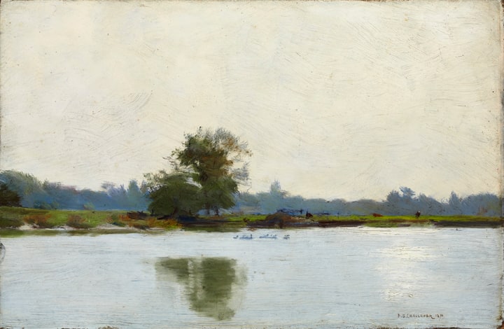 Ducks And Reflections On A River