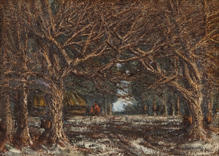 Twisted Maples, Quebec