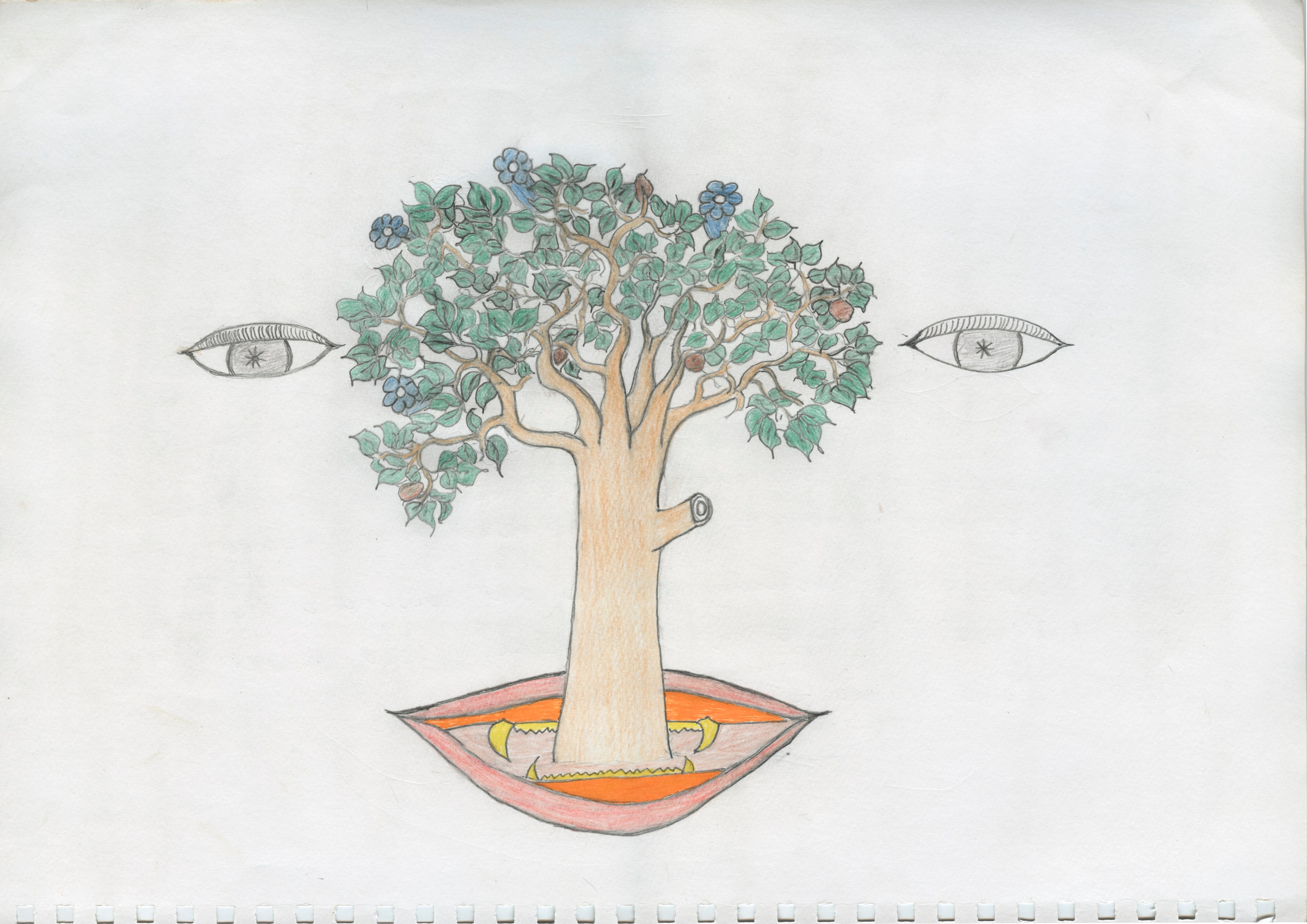 Xapiri Hawarihiri omamari a ithuu tëhë anë yai kiriaɨ mahi, kuë yaro yanomãe yamakɨ amuku haari keaɨ. Hwei hawarihiri omamari aka kii anɨ xawara a waiha anɨ yai waro pata a kutaenɨ kuë yaro h