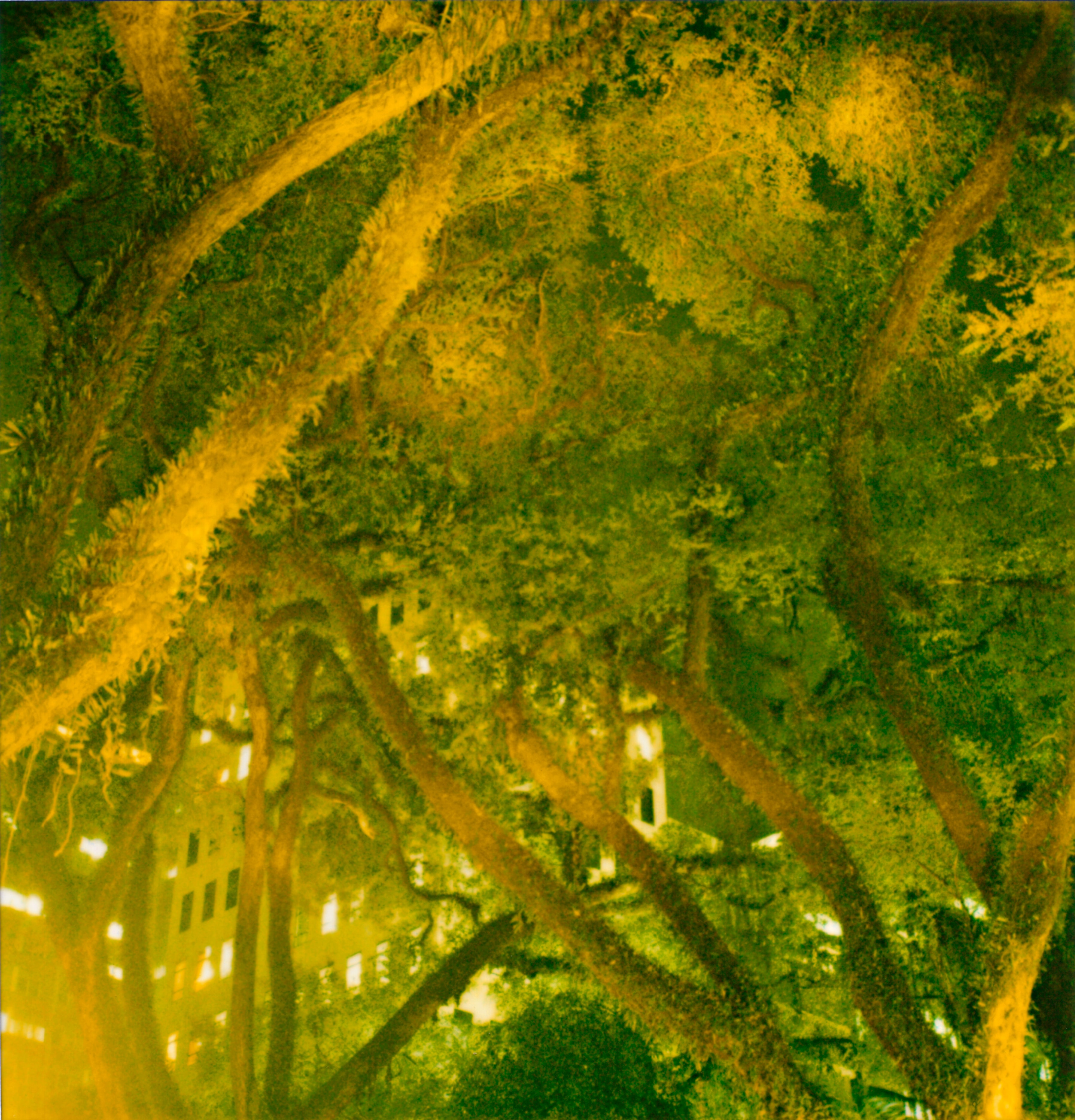 Trianon Park #01