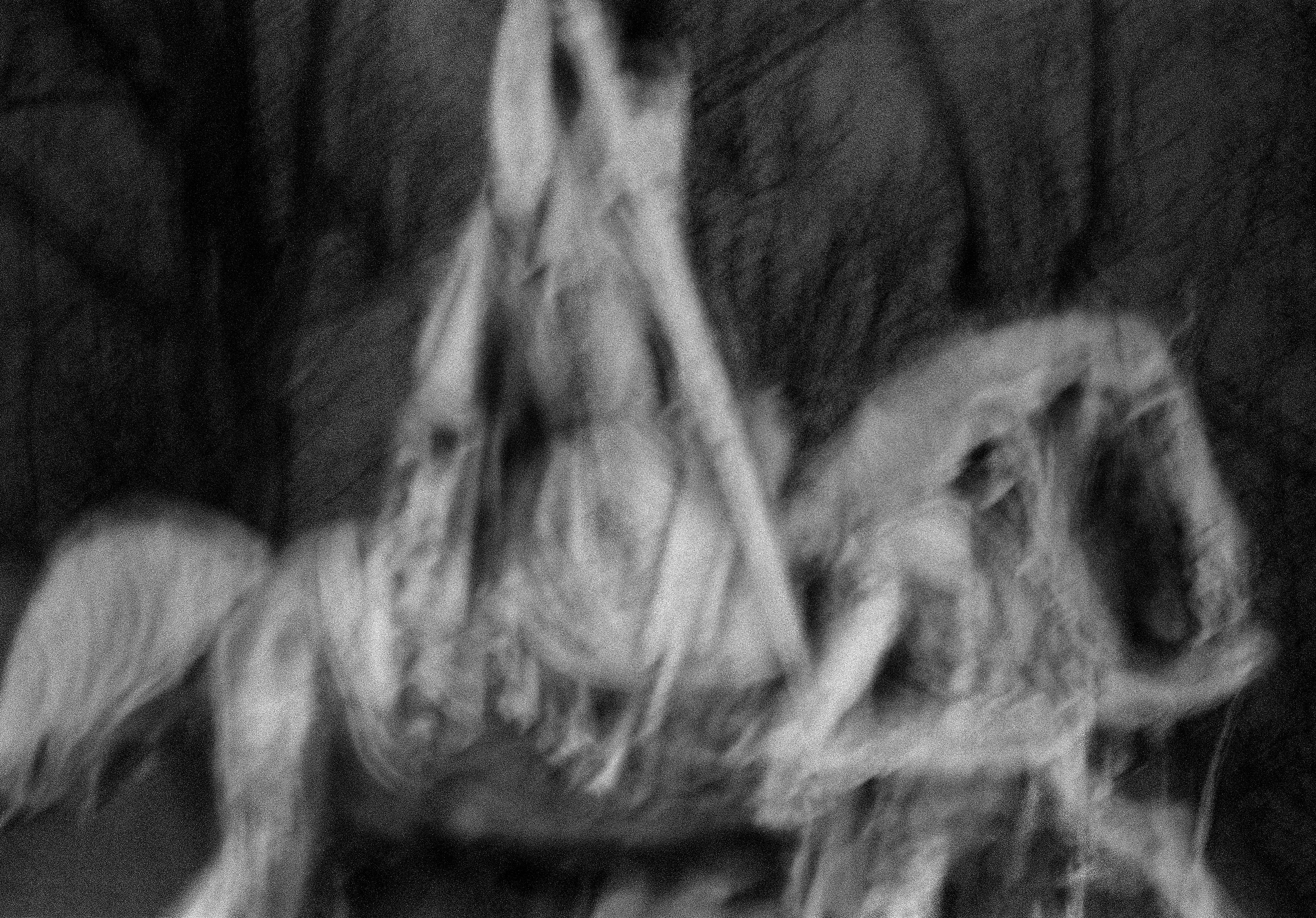 Charles Magnum