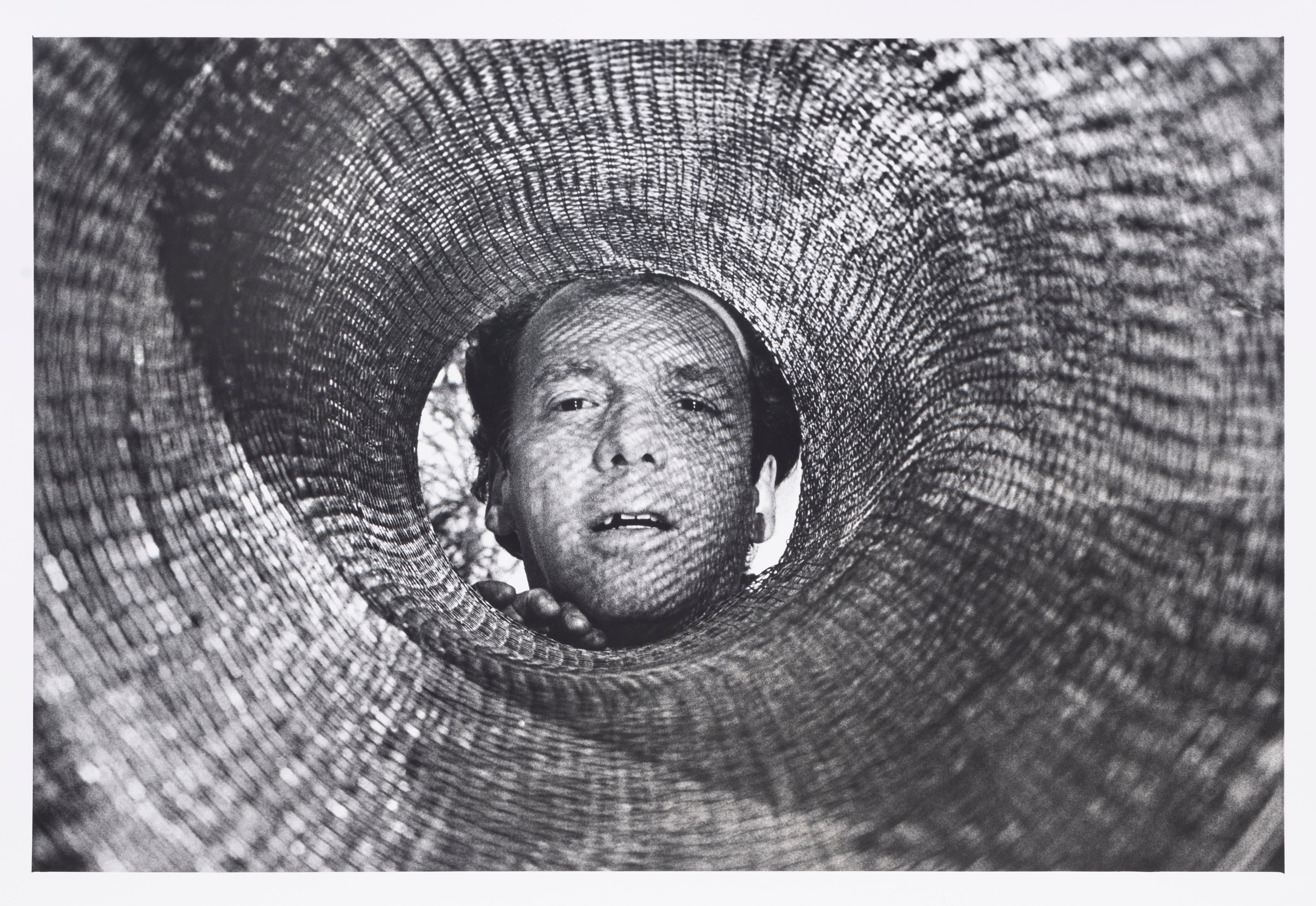 Hélio Oiticica em HO