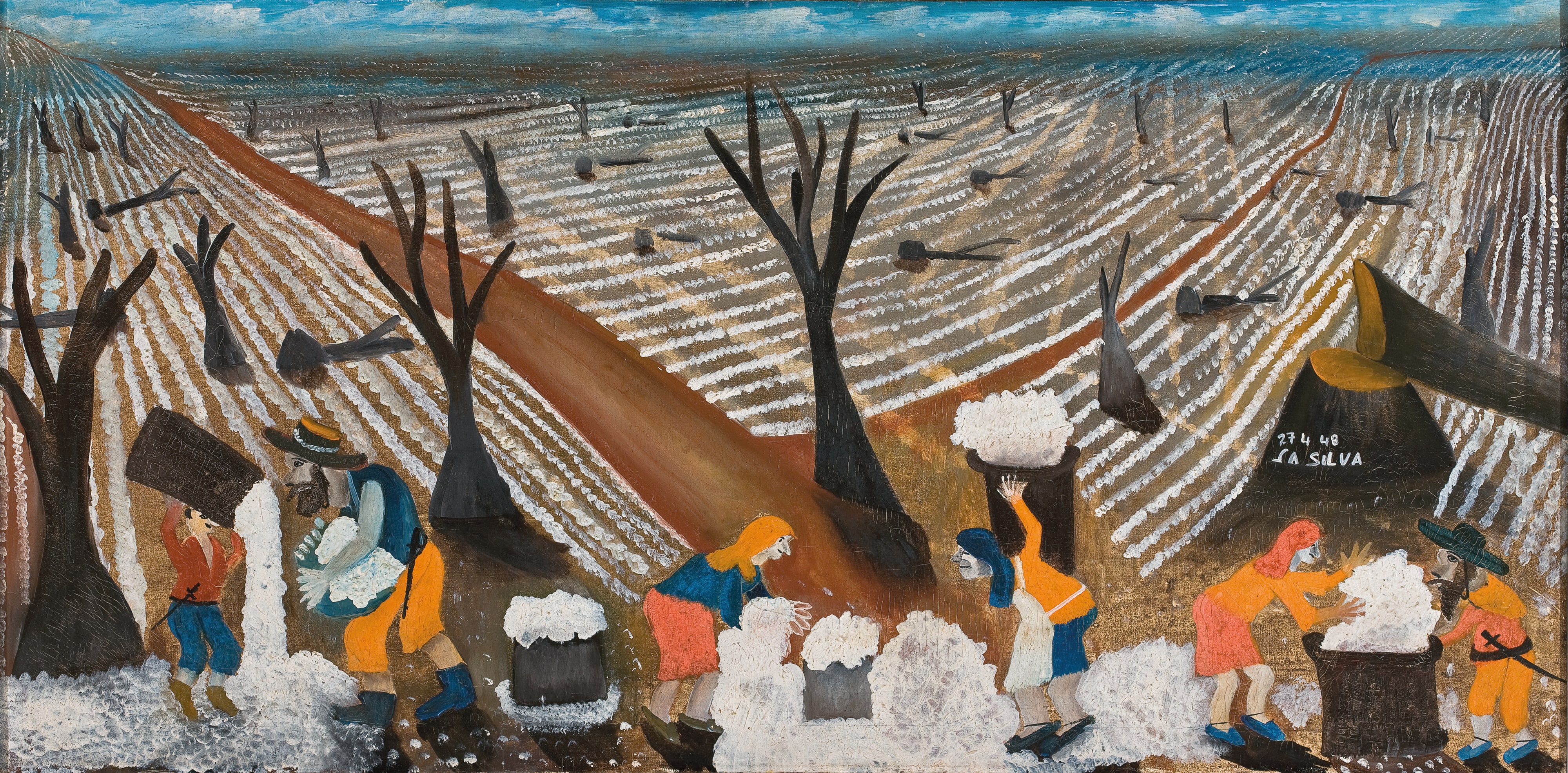 Cotton Harvest