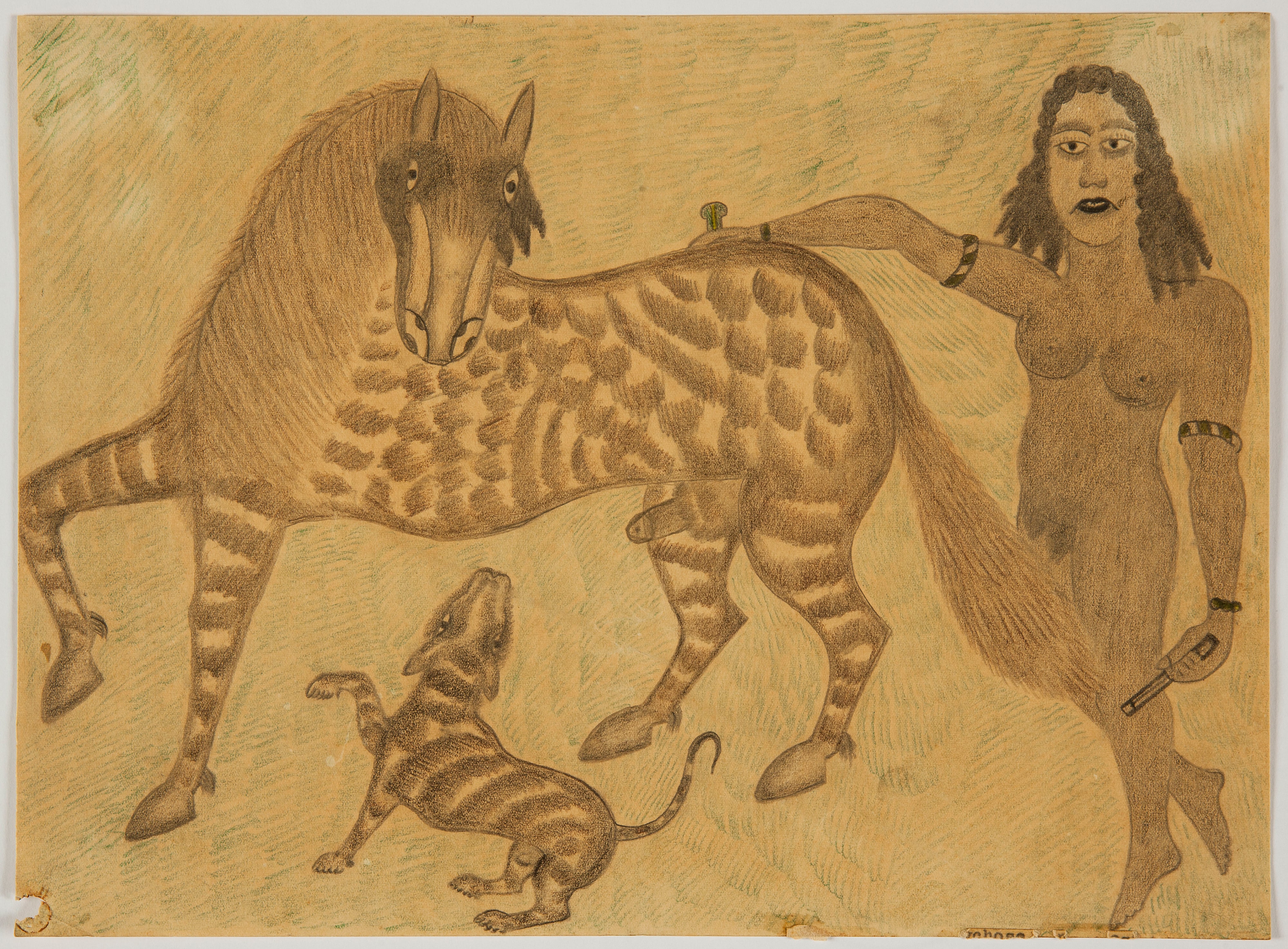 Mulher, cavalo e cachorro