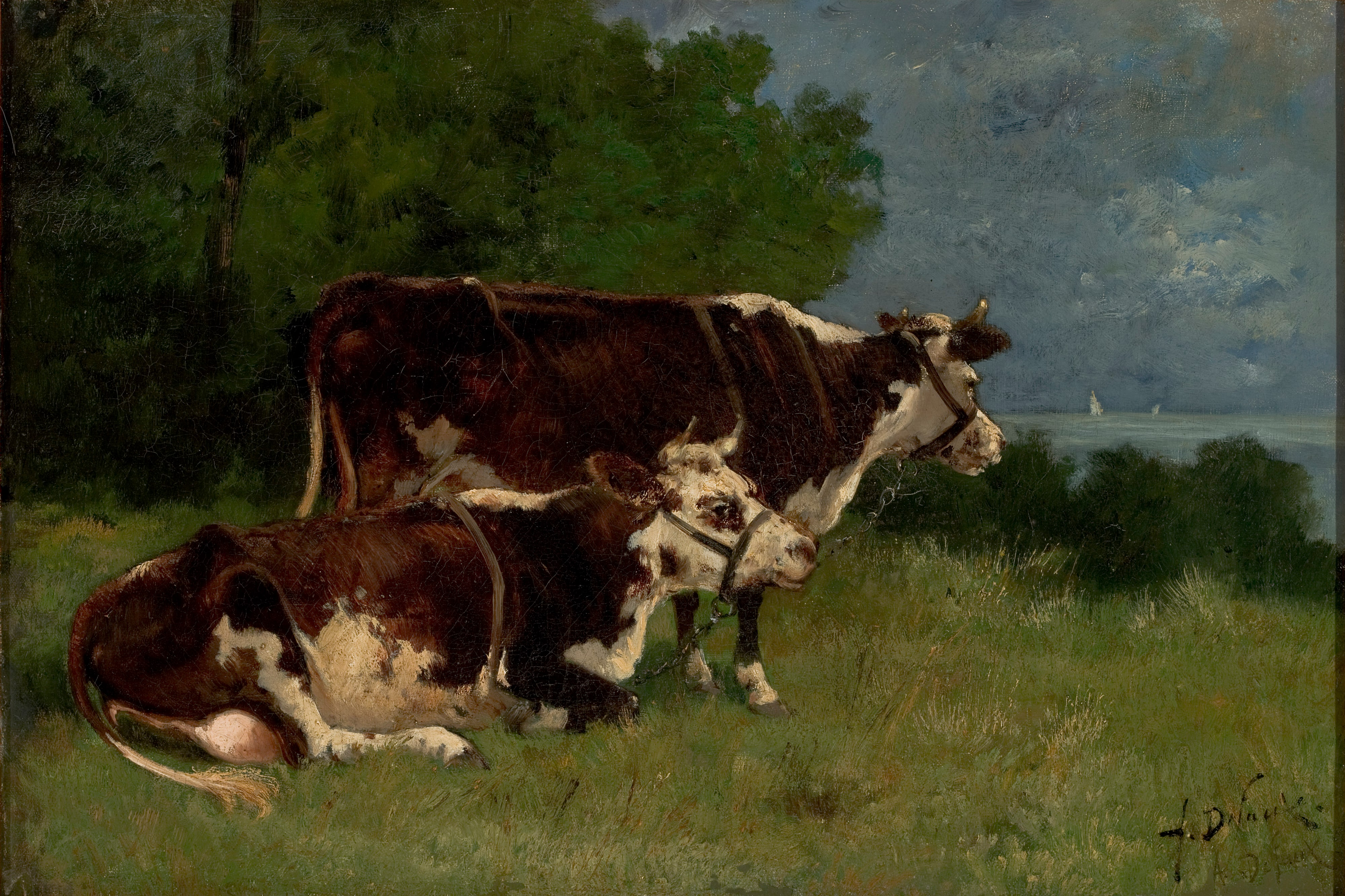 Two Cows