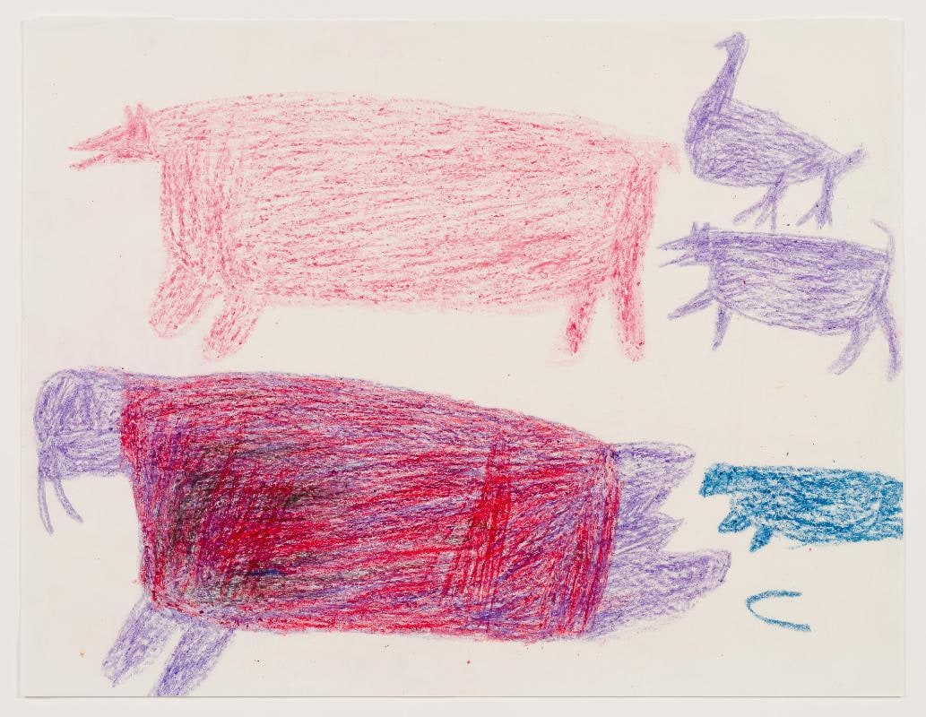Untitled (animals)