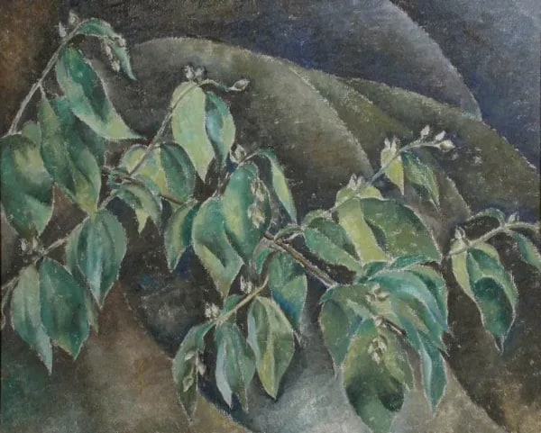Leaf Growth