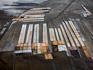 Salt Pan #19, Little Rann of Kutch, Gujarat, India