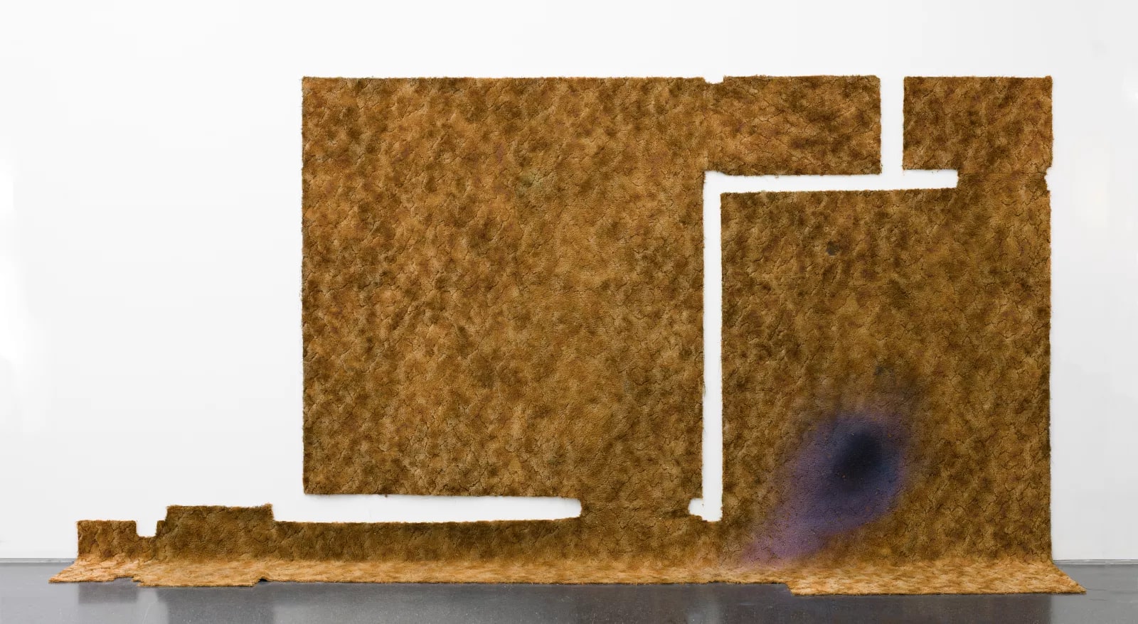 Carpet Painting (Bedroom and TV Room)