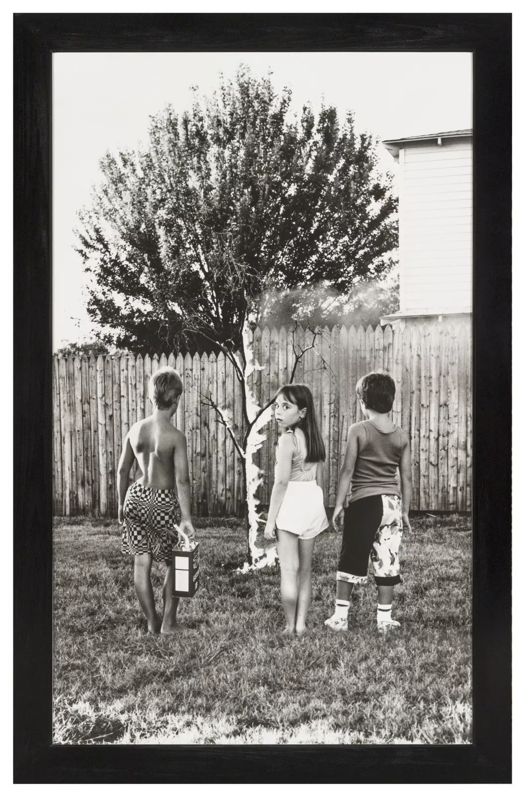 Real Pictures #11