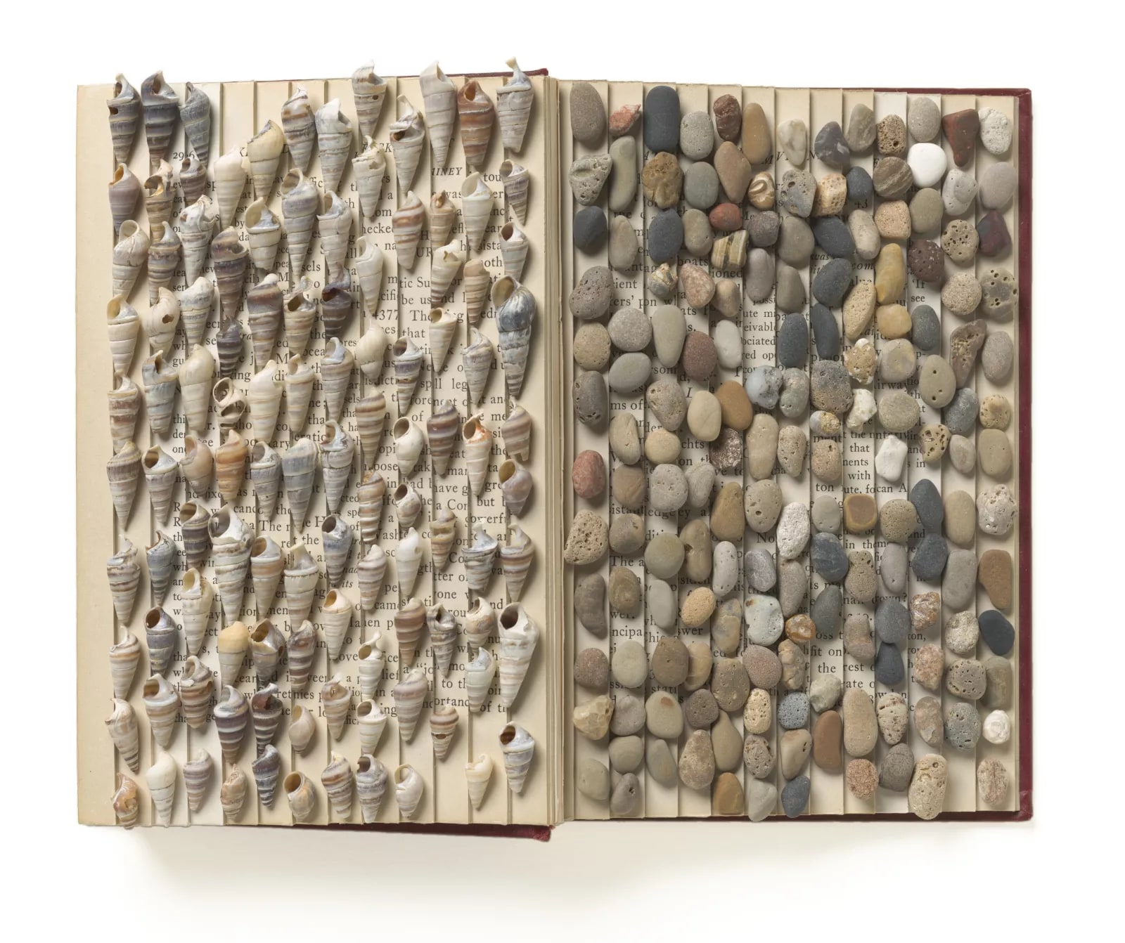 Shell Book