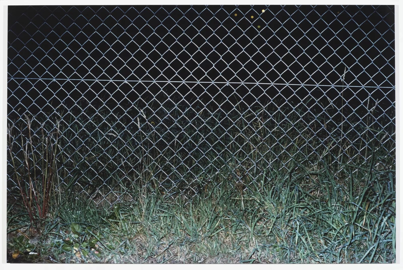 The Fence