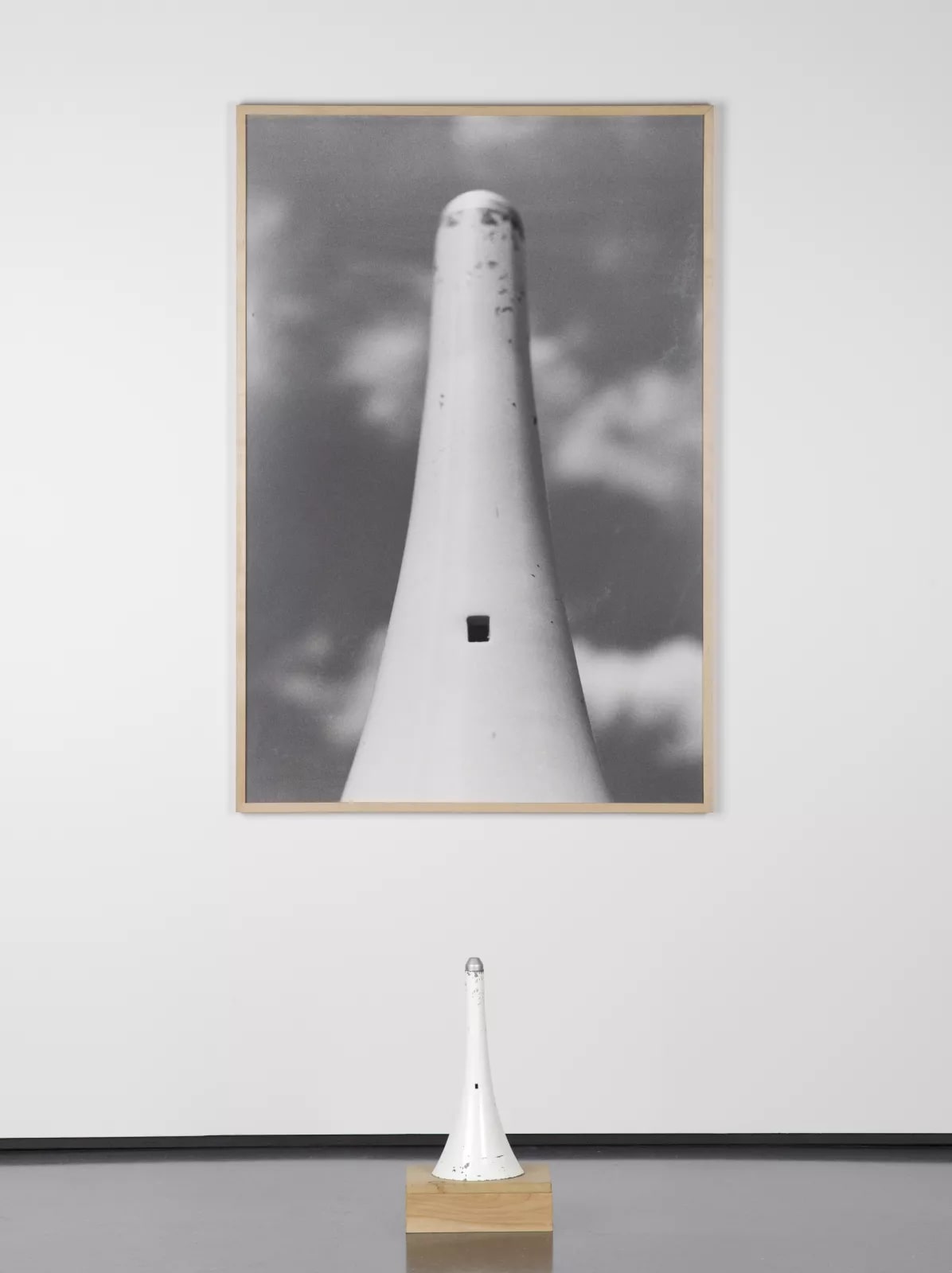 Untitled (White Horn)