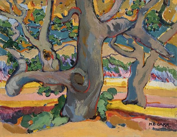 Trees in France