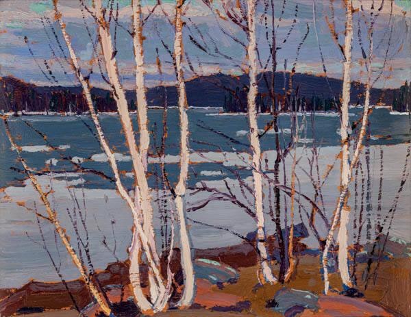 Spring in Algonquin Park
