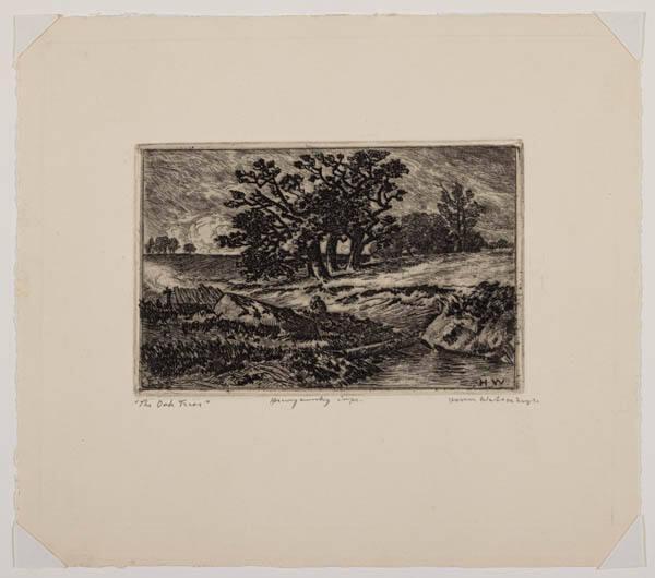 The Oak Trees
