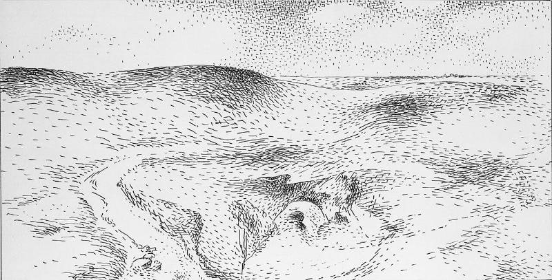 Prairie Landscape