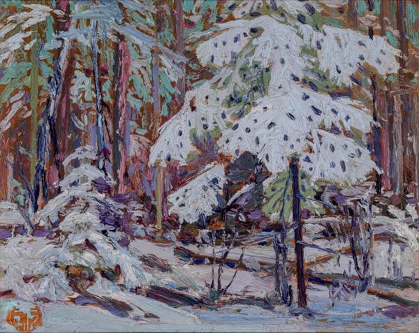 Snow in the Woods