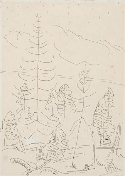 Trees