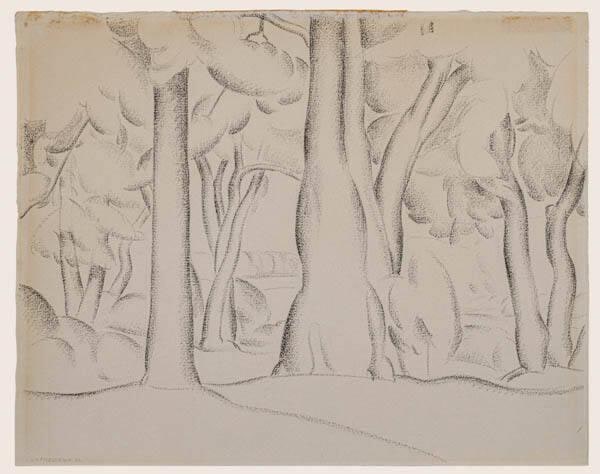 The Woods