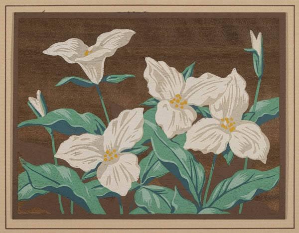 Flower screenprint
