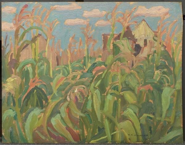 Cornfield, Brockville