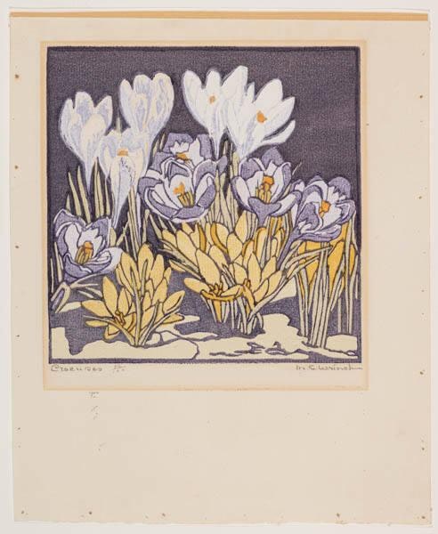 Crocuses