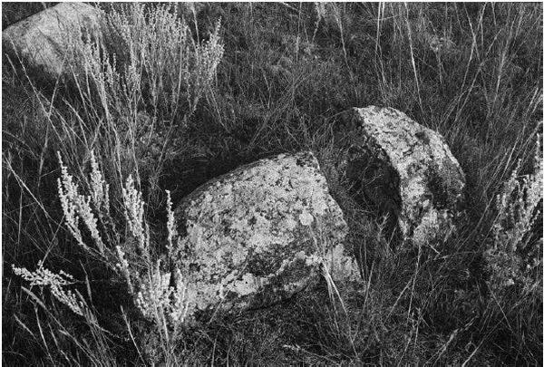 Stones 2