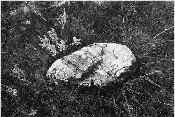 Stones 3