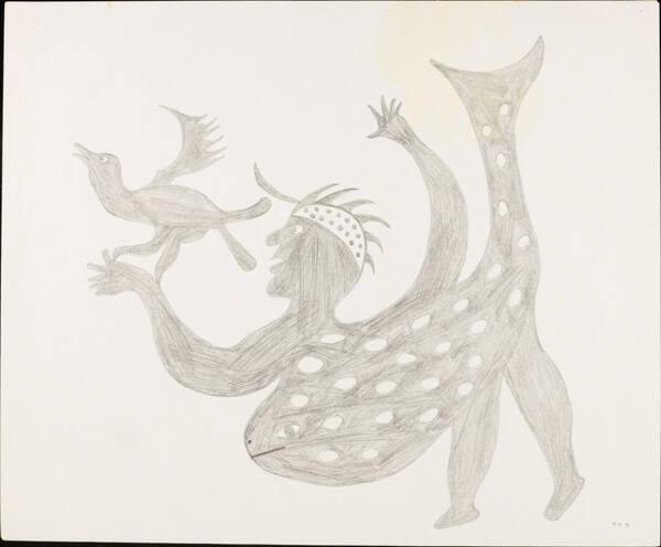 Drawing for print Taleelayo with Sea Bird