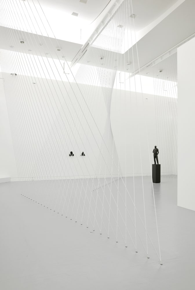 Rays