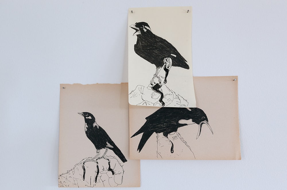 Bloody Mynahs and other drawings