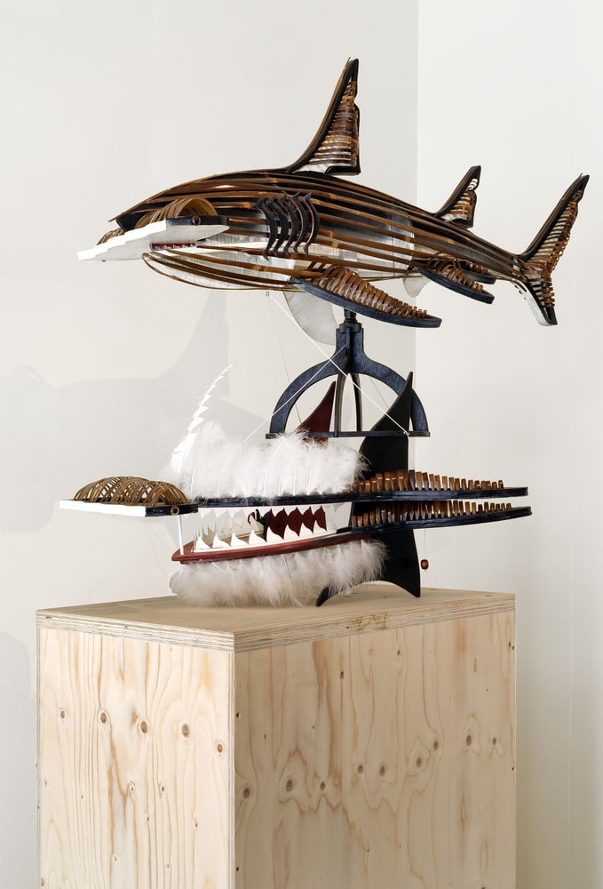 Tête de requin marteau