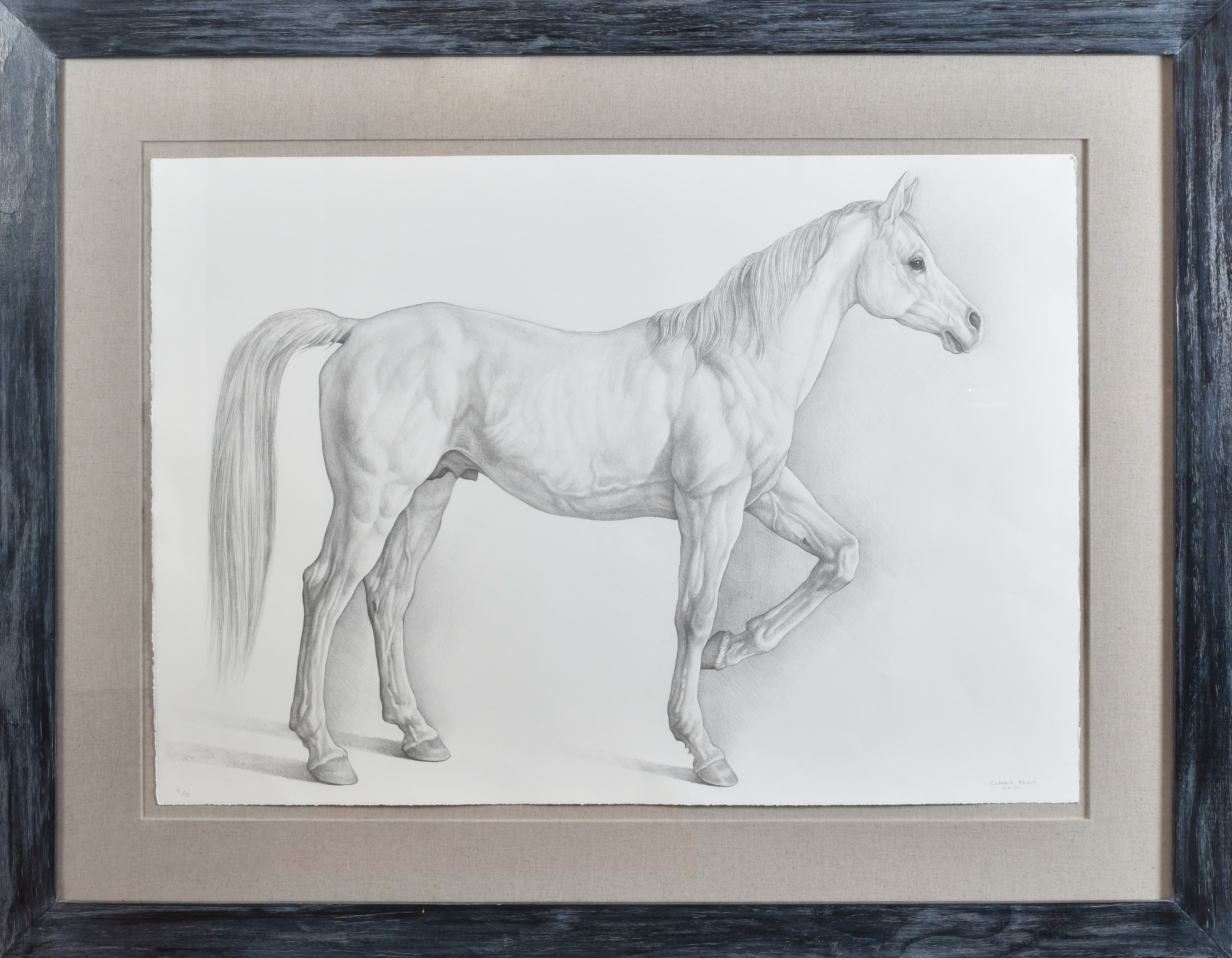 Caballo blanco